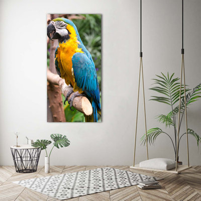Toucan - Wrapped Canvas Print