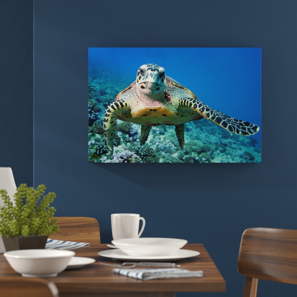 Leinwandbild ,,Schildkröte über Korallenriff", Fotodruck