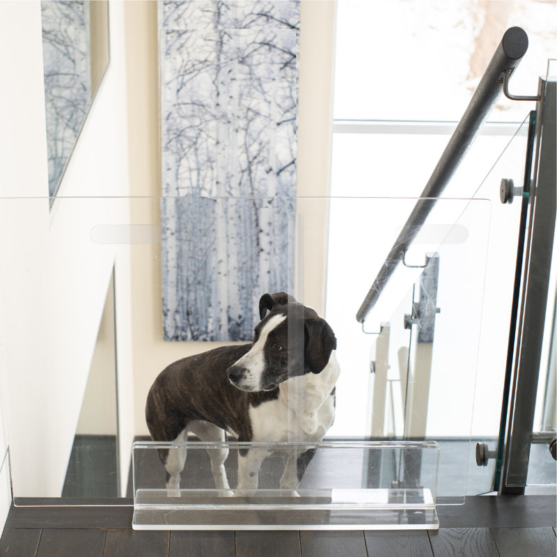 Low Clear Pet Gate Panel, 24” H x 30" W