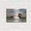 «Red Back» par David Carter, art mural en métal Red Barrel Studio®-1550903742