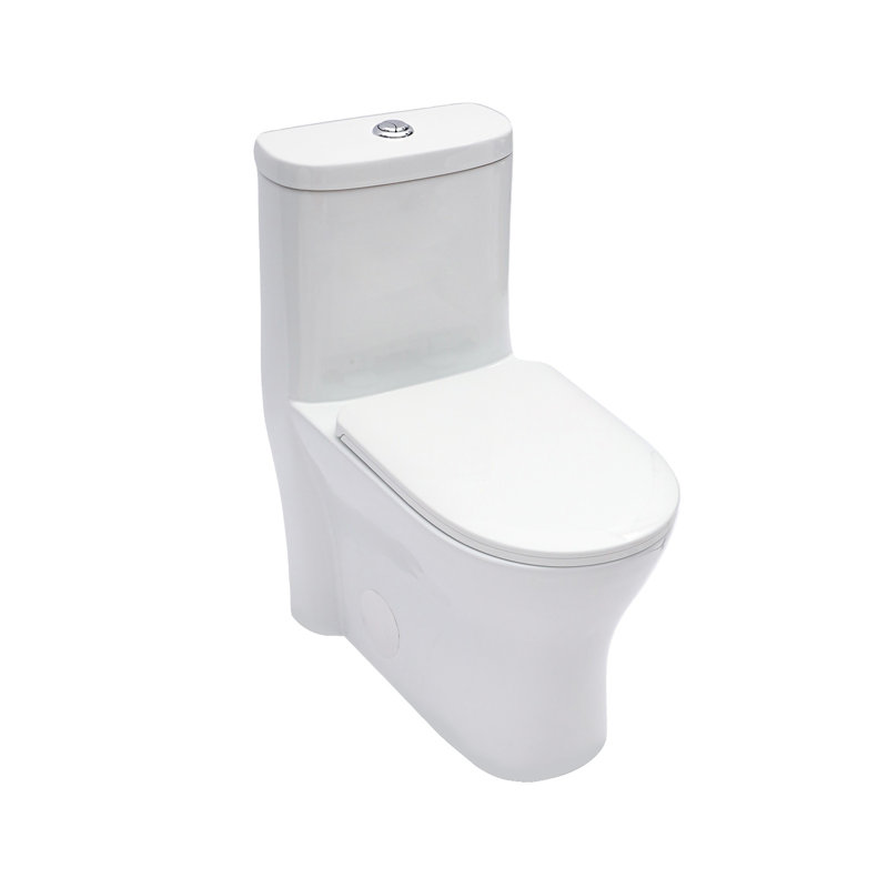 Ceramic One Piece Toilet For Bathroom, 12-Inch Rough-In, 1.22/1.6 GPF, Dual Flush With Soft Clsoing Seat, Powerful Dual Flush MAP 800G