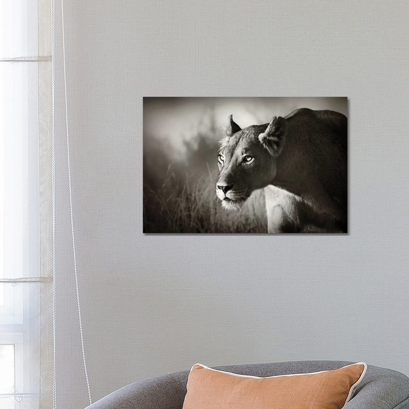 Lioness Stalking 1 Piece Wrapped Canvas Wall Art, 66.04 cm H x 45.72 cm W