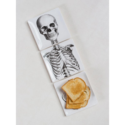 Jarvus Skeleton Bones Ceramic Decorative Plate - Set of 3