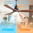 Nicola 52'' 3 - Blade Modern Ceiling Fan with Remote Control and Light Kit-1194857035