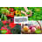 Kymari Galvanized Raised Garden Bed, Multiple Sizes to Choose, Plant Supports Offered-2050066518-2064205533-2064205532