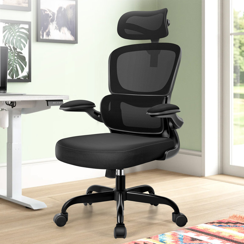 Lidwien Ergonomic Breathable Mesh Office Chair with Adjustable Headrest and Flip-Up Arms, Black/Black