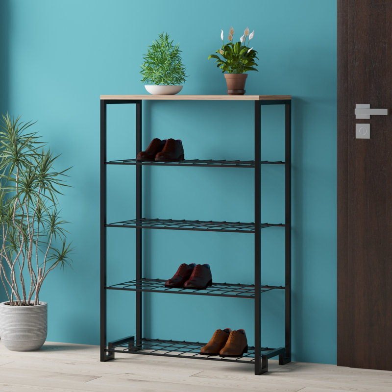 Baneen 8 Pair Shoe Storage Cabinet