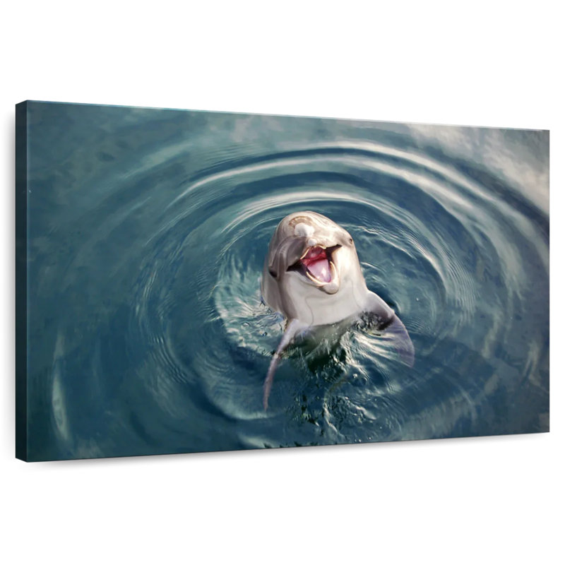 Brampt Excited Dolphin, 24" H x 36" W
