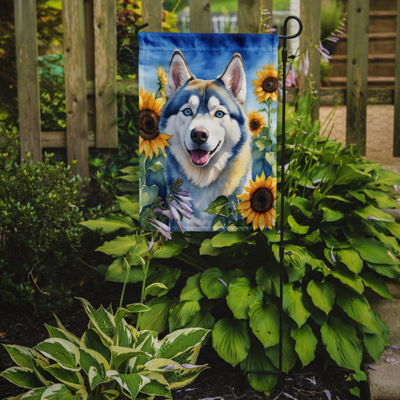 Lévrier irlandais dans le drapeau du jardin de tournesols, Husky sibérien