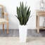 Emele 48'' Faux Sansevieria Plant in Stone Planter