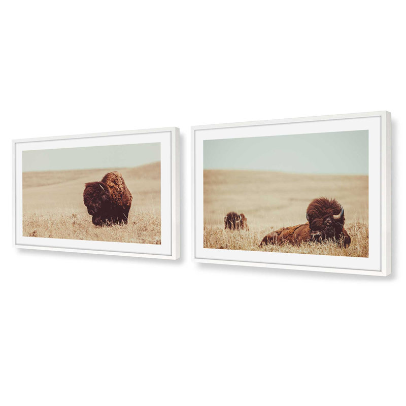 Prairie Bisons, ensemble de 2 impressions, Cadre opaque blanc, H 12 po x l 16 po