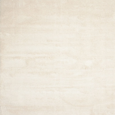 Indoor Rug