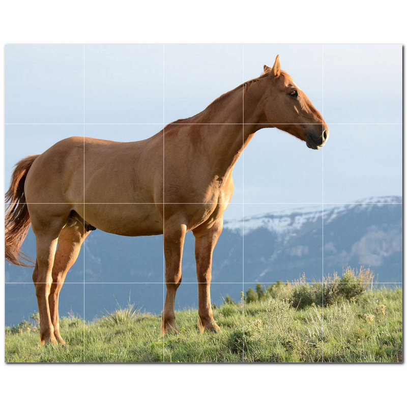 Murale en céramique satinée Horse Photo 8 po x 8 po