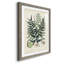 Collectionner Ferns VII Premium encadré mat - prêt à être accroché-1331941650-1331941658