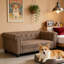 Canapé-lit pour chien durable-121424591