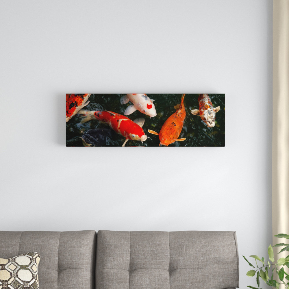 " Koi Carp In Japan " East Urban Home 