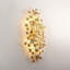 Menorca Wall Sconce in Vintage Gold Leaf