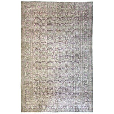 Sivas One-of-a-Kind 8'6" X 13' Area Rug