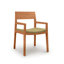 Iso Microsuede Arm Chair-61624268-61624282