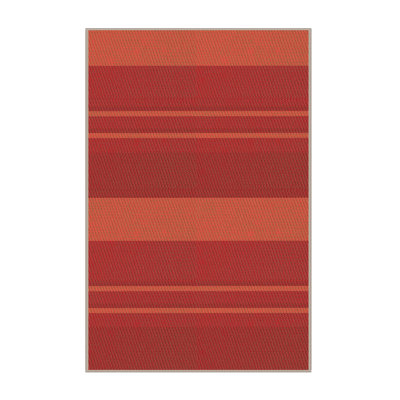 Striped Indoor Rug