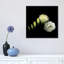 Circumvolution, impression sur toile tendue-18415523-74427735-74427736