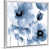 Cadre blanc n'est pas disponible
