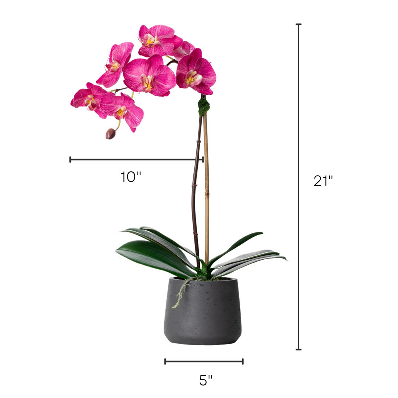 Orchid Floral Arrangements in Planter, Black