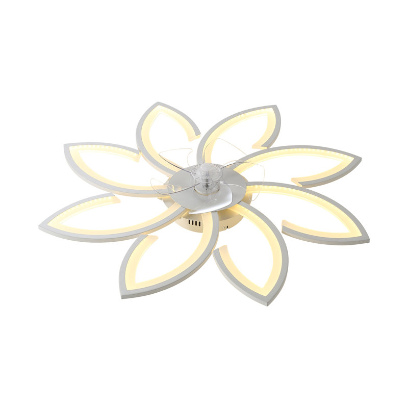 Chrisly Ceiling Fan with LED Lights