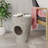 CANIS SIDE TABLE
