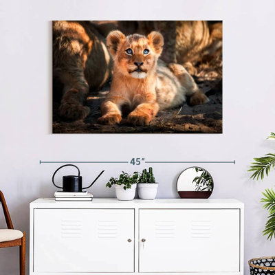 Brampt Baby Safari Lion