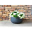 Pot à fleurs en béton Dovenby-1053064300-968420671