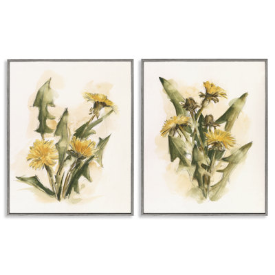 «Dandelion Watercolor Sketch», ensemble de 2 giclées encadrées par Ethan Harper