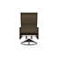 Leeward Polymer Outdoor Lounge Chair-1412347235-1411438833