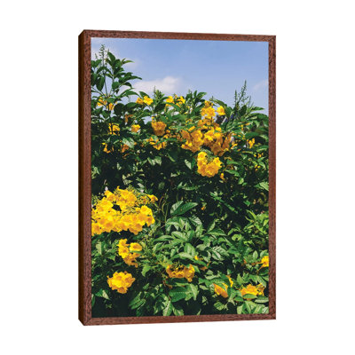 Austin Blooms by Bethany Young - Print on Canvas