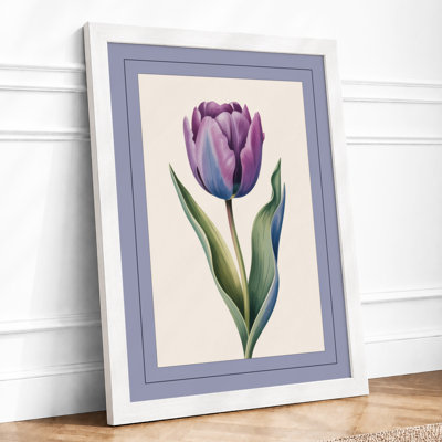 Purple Tulip Study Botanical - Framed Print