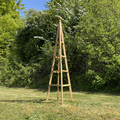 Chartrand 150cm H x 35cm W Wood Obelisk Trellis