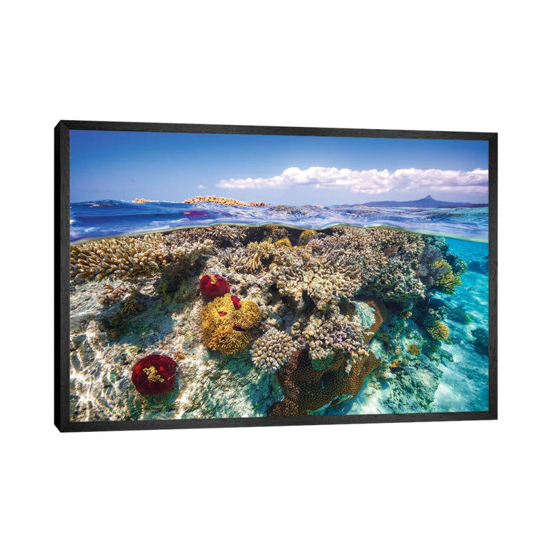 Mayotte The Reef by Barathieu Gabriel - Print on Canvas, 66.04cm H x 101.6cm W x 3.81cm D, Black Framed