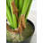 38'' Faux Philodendron Tree