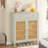 31.49" Mint Green Wooden Shoe Cabinet With Rattan Doors And Drawer