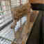 Customer photo 4 of 4