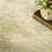 Nourison Odessa 7'9" x 9'9" Green Vintage Indoor Rug-712912515