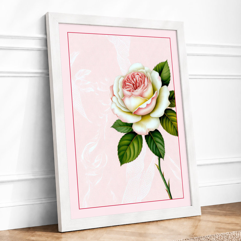 Delicate Rose Study Botanical - Framed Print, A4 - 29.7 x 21.0 cm, White