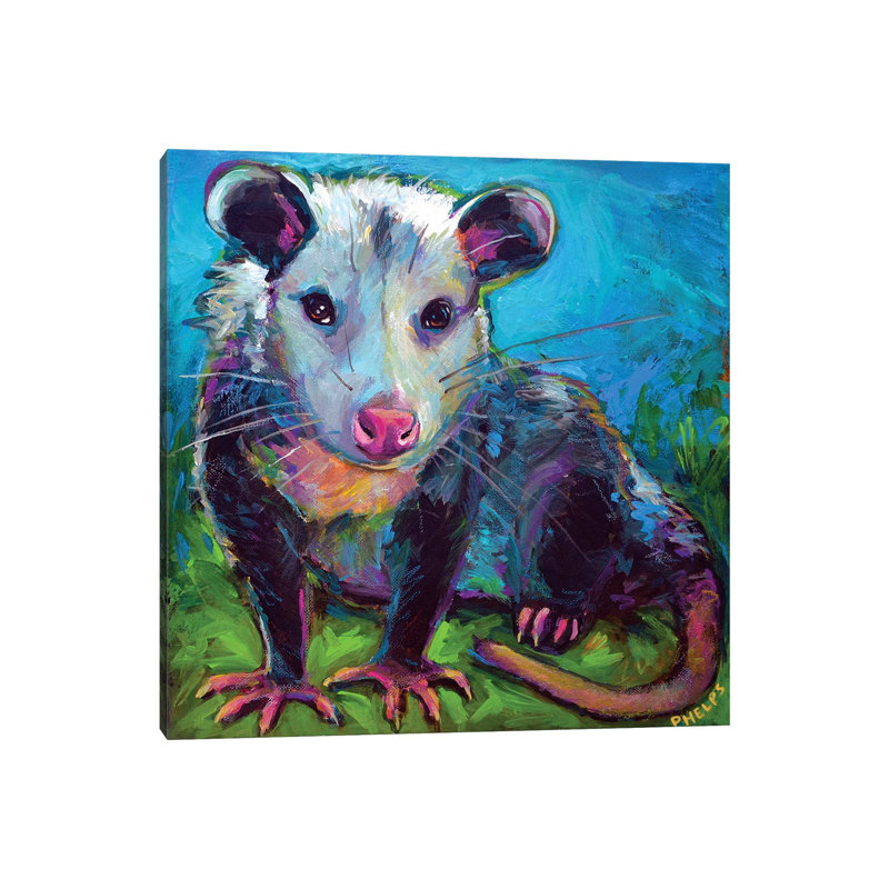 «Oppossum» par Robert Phelps - peinture sur toile tendue, H 12 po x l 12 po x P 0,75 po