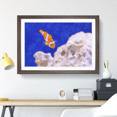 Clownfish Vol.2 - Picture Frame Graphic Art