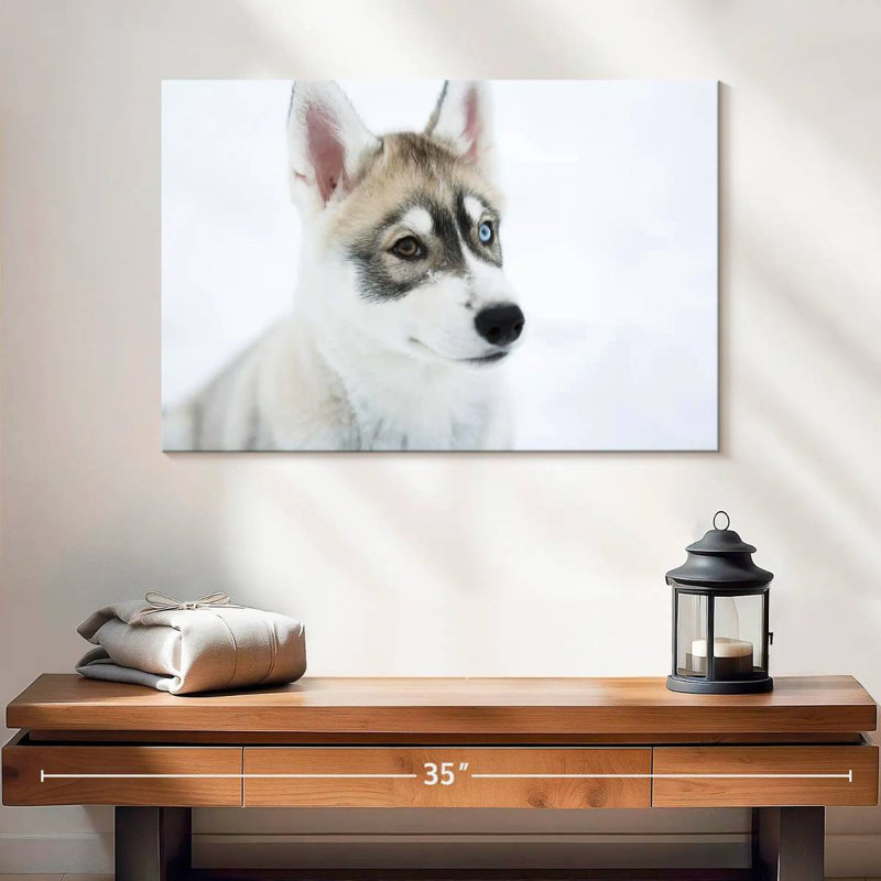 Brampt Glaring Husky, 16" H x 24" W