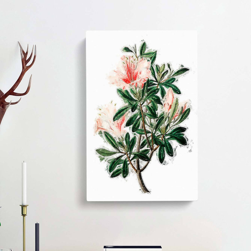 Pink Chinese Azalea Flowers - Wrapped Canvas, 60cm H x 40cm W x 3cm D
