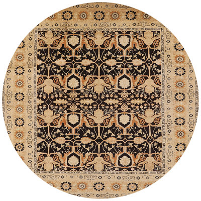 Scalli Oriental Indoor Rug