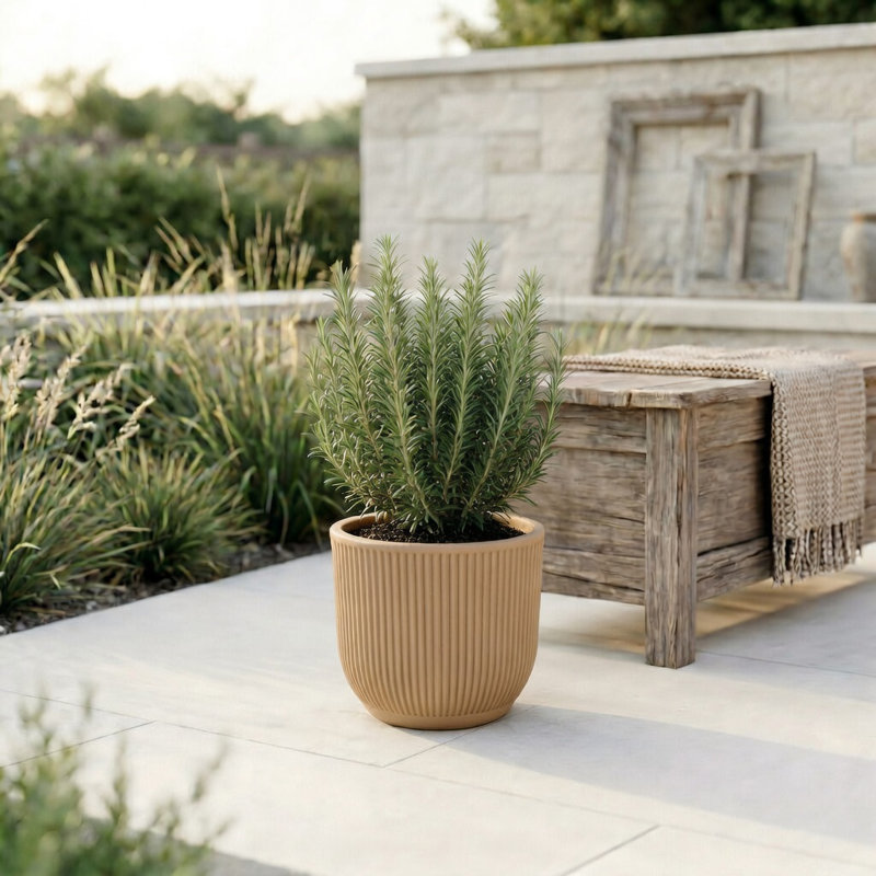 Ciya ECOBO Eco-Friendly Round Pot Planter, Garoa Indoor/Outdoor Four Season Use, Terracota, 11.4" H x 11.4" W x 11.4" D