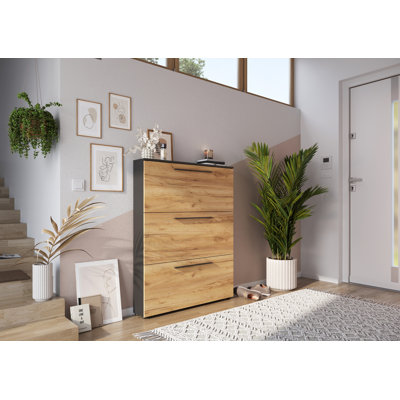 Wildomar Shoe Storage Cabinet