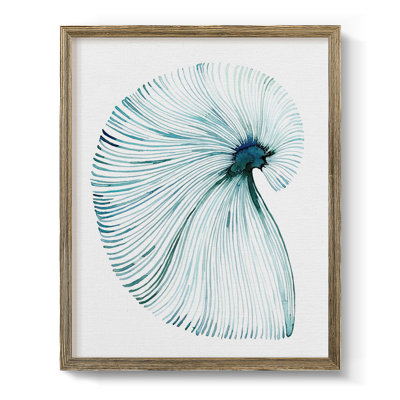 " Iris Garden "